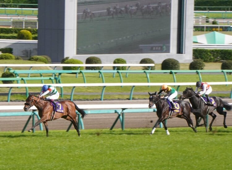 有馬記念》昨年のサラキア（2着）のように好走の可能性がある馬とは？“伏兵”が虎視眈々、クロノジェネシスも変わり身は充分（3／3） - 競馬 -  Number Web - ナンバー