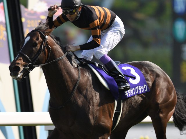 サトノダイヤモンド 新馬戦〜天皇賞・春２歳から４歳国内全９戦現地単勝 セレクトセール2023】サトノダイヤモンド産駒が1.1億円で里見治