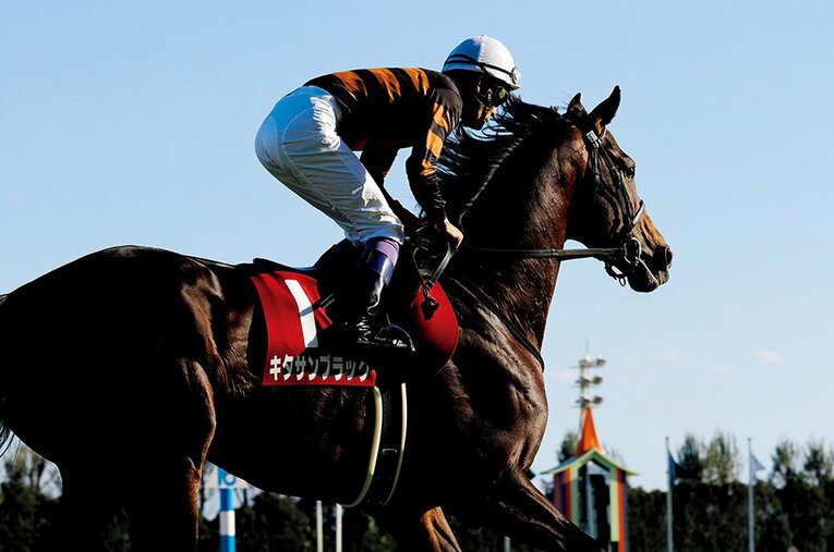 菊花賞を皮切りに、GI7勝を挙げた名馬キタサンブラック ／ photograph by Photostud