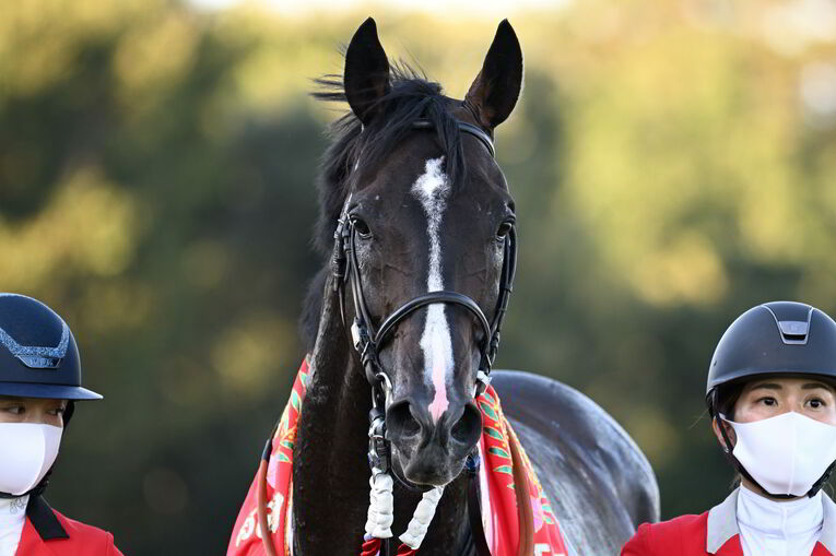 1番人気メイケイエールはなぜ不発に終わった？ 波乱のスプリンターズS、「すべての展開が味方した」ジャンダルムが生んだ“血のドラマ”(52)