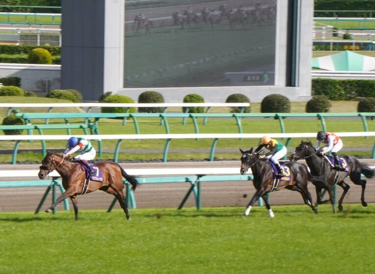 皐月賞では1着エフフォーリア、2着タイトルホルダー、3着にステラヴェローチェ。有馬記念で敗れた2頭の巻き返しはあるか　©Satoshi Hiramatsu