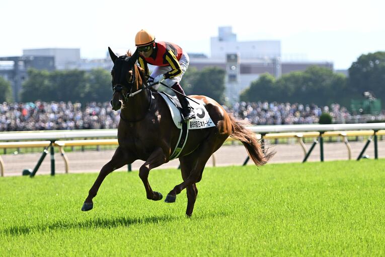 武豊「ディープインパクトはダートでも強かったと思う」ディープにダイワスカーレット、2頭の名馬が“走らなかった”幻のフェブラリーS計画(70)