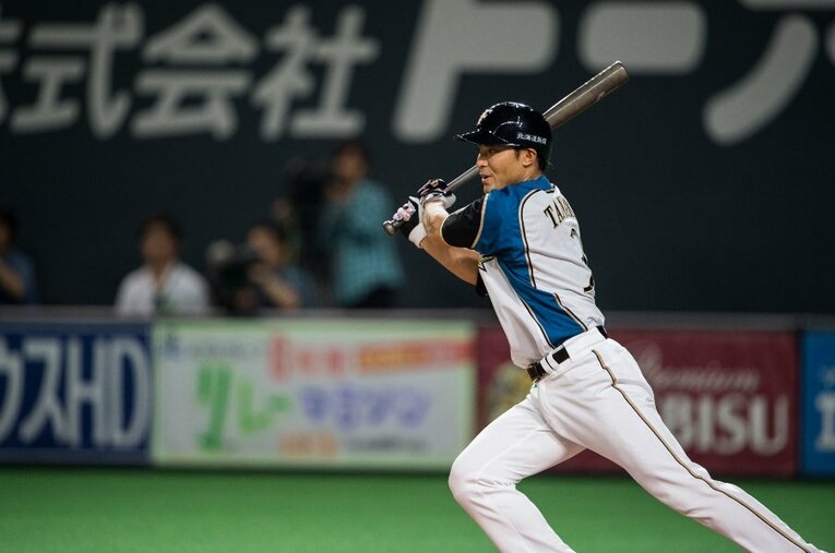 2015年 ／ photograph by Nanae Suzuki