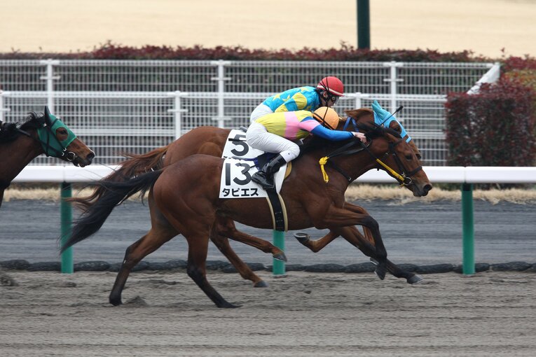 2015年、デビュー6戦目でタピエスに騎乗し初勝利を挙げた©AFLO