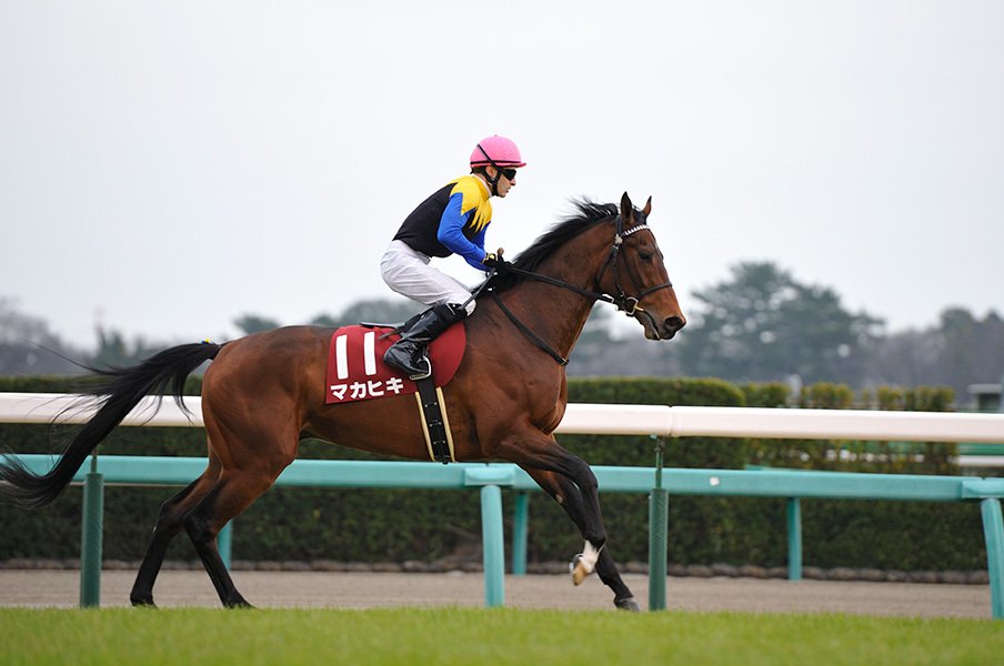 近未来の「最強馬」を決める決戦に!皐月賞、3強の優劣はどんな順番?<Number Web> photograph by Keiji Ishikawa
