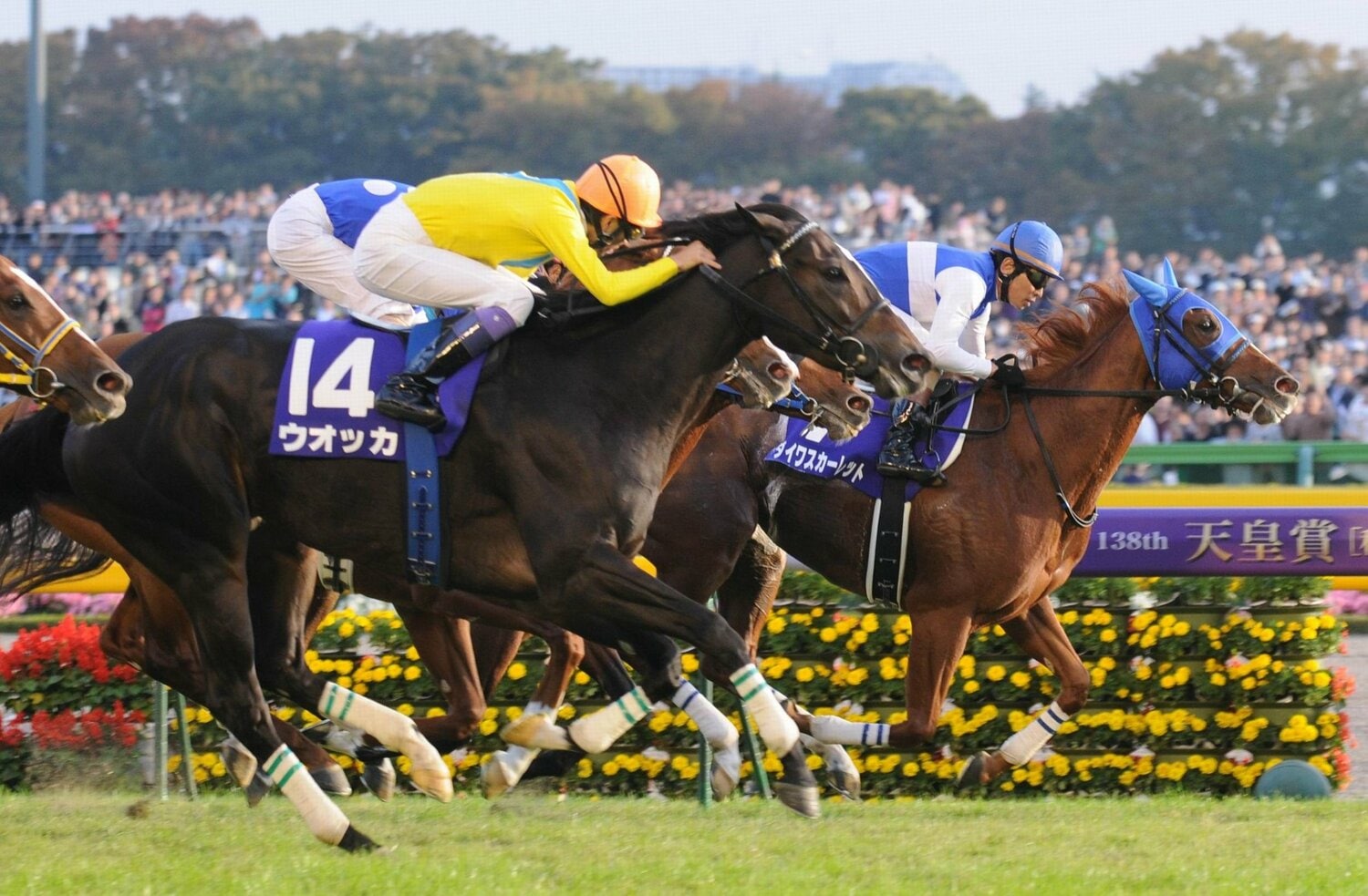 名レースとなった2008年の天皇賞・秋のゴール前　©Sankei Shinbun