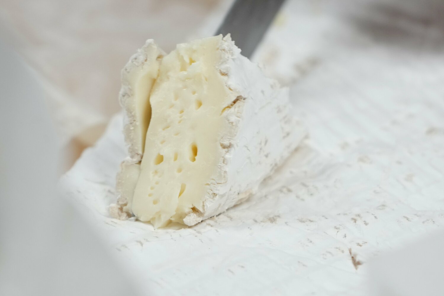 フランスから空輸され、日本で熟成した最高級の白カビチーズ「ブリー・ド・モー」
