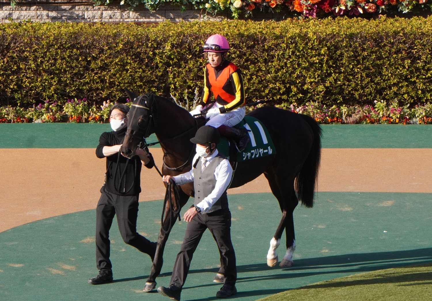 共同通信杯でのシャフリヤール