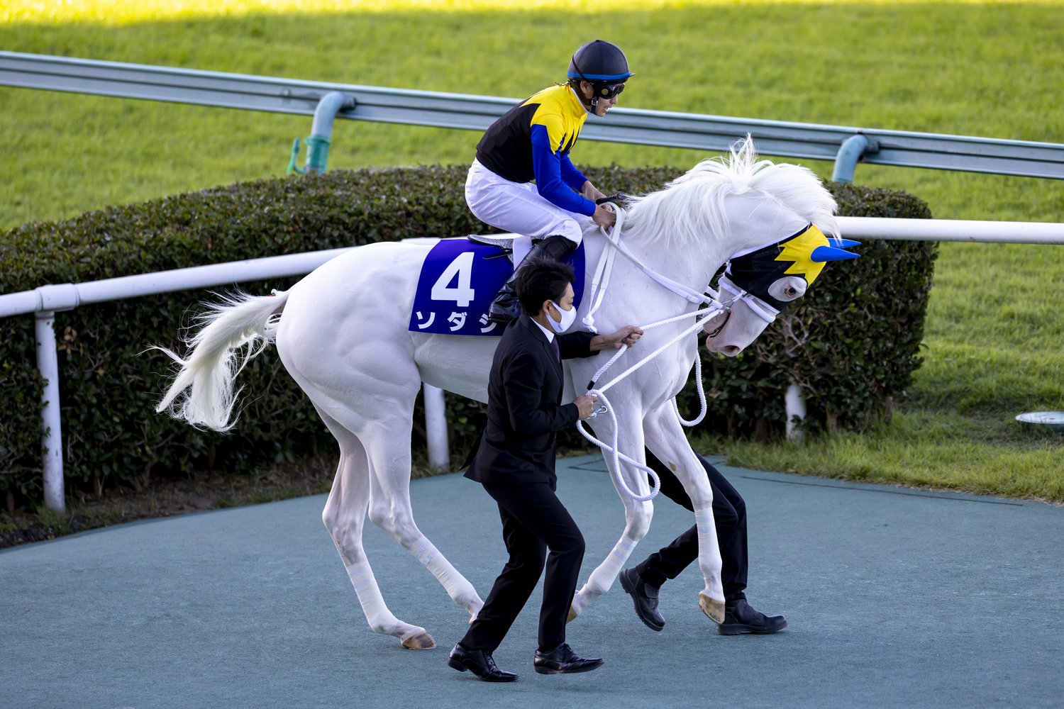 秋華賞では馬場入り前からテンションの高いところが垣間見えた ©Photostud
