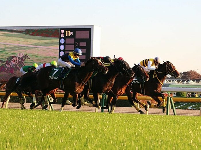 GIの登竜門、東スポ杯2歳Sを制したニシノデイジーとオーナーの執念。＜Number Web＞ photograph by Satoshi Hiramatsu