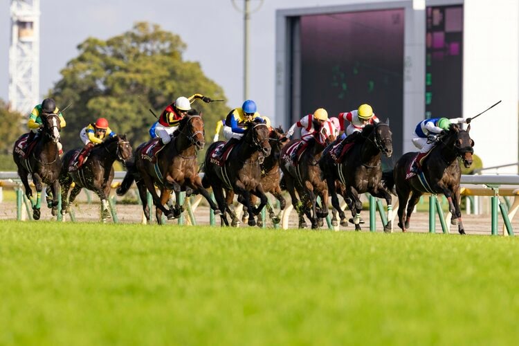 ペルシアンナイト マイルCS優勝記念出資者限定キャップ