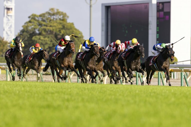 毎日王冠の最後の直線。左から3頭目がシュネルマイスター