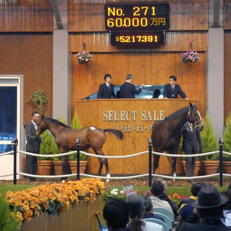 6億円で落札されたディナシー（左）。右は母のトゥザヴィクトリー　©KYODO