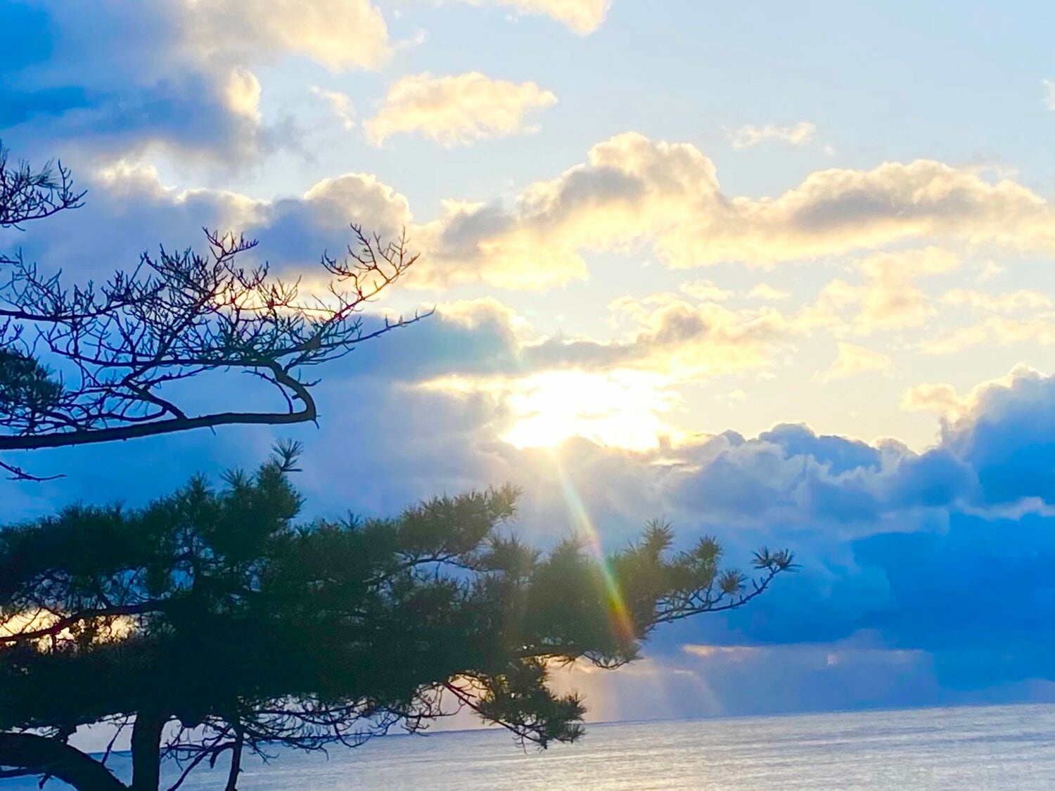 佐々木朗希も思わず息を呑んだ大船渡の美しい初日の出　©︎Chiba Lotte Marines