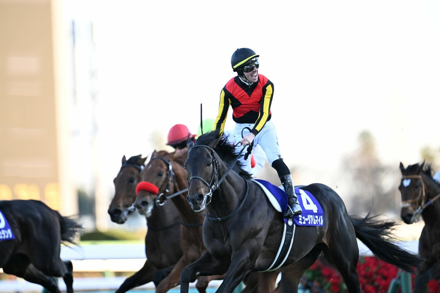 有馬記念で世代の強さを証明したミュージアムマイル　©Keiji Ishikawa