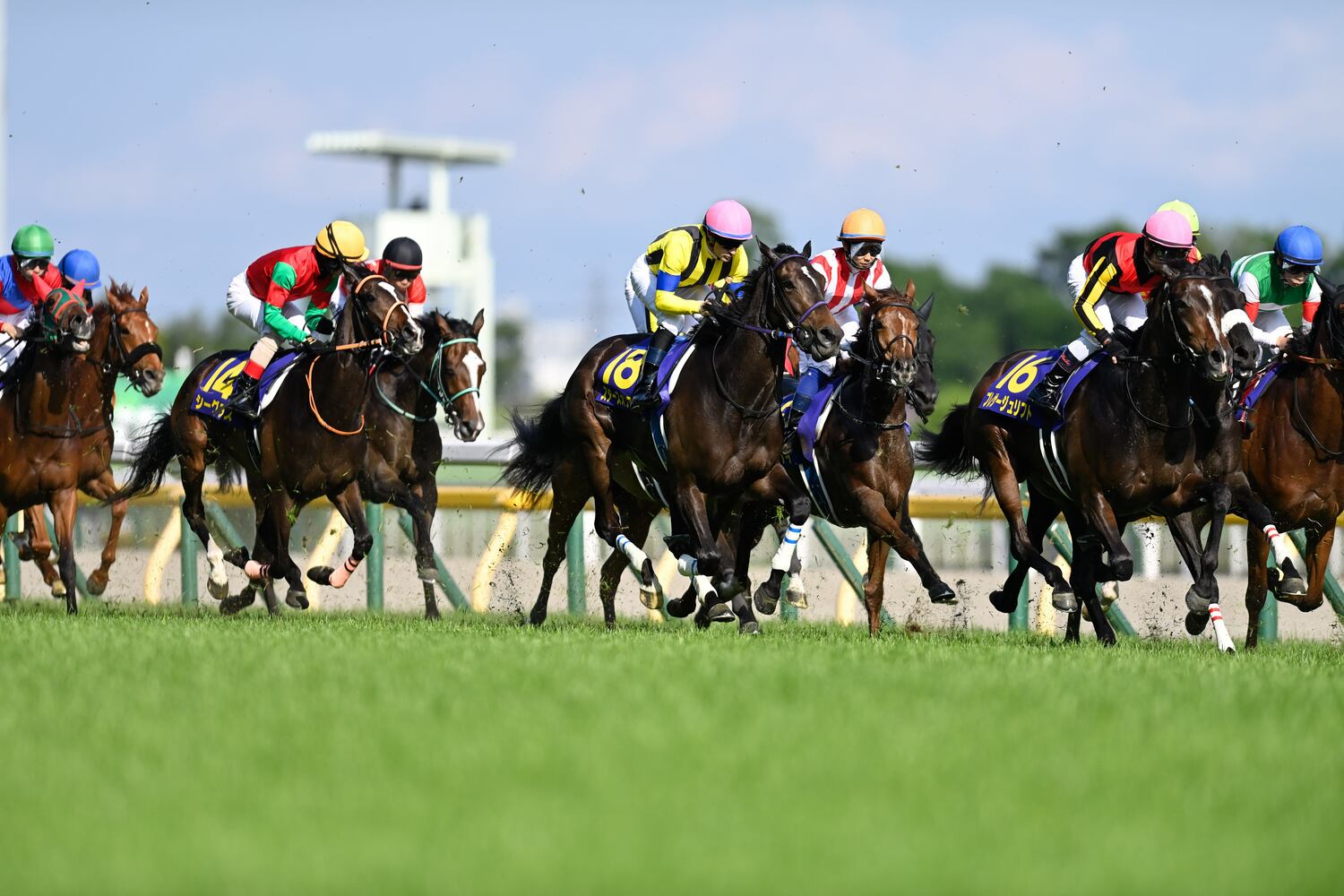 強靭な精神力でレースに競り勝ったスターズオンアース　©Keiji Ishikawa