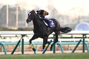 【人気】 350万が18億に…“格安だった”キタサンブラックを北島三郎はなぜ買った？「これほど勝つ馬になるとは」