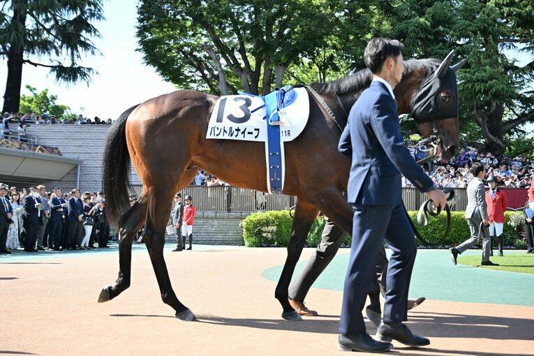 パドックでのパントルナイーフ　©Keiji Ishikawa