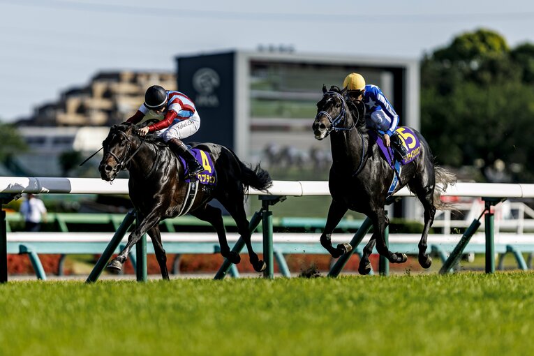 リアライズシリウスを差し返して突き放すロブチェン。好調な鞍上2人による迫力満点の叩き合いだった　©Kiichi Matsumoto