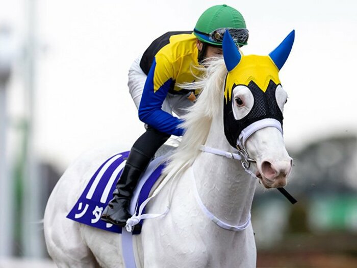 《ヴィクトリアマイル》得意のマイル＆重馬場でレイパパレが圧勝？ “白毛の女王”ソダシはダート経験がどう生きるか＜Number Web＞ photograph by Photostud