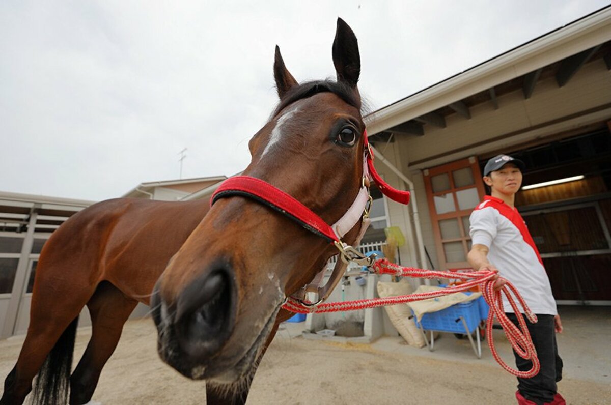 無敗のオークス馬」は過去4頭だけ。絶好枠13番のラヴズオンリーユーは