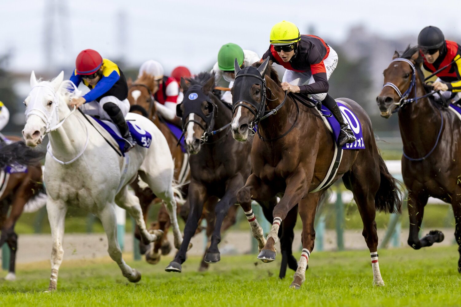 直線で突き抜けるセリフォス