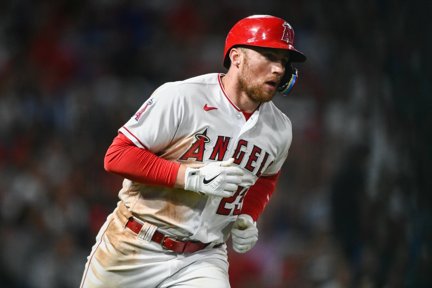 ドゥルーリー ©Nanae Suzuki