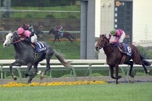 【天皇賞・春】“ビワハヤヒデvsナリタタイシン”以来の阪神開催で何かが起きる？ 当時、岡部幸雄が美浦に戻って語ったこととは