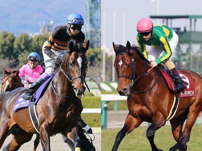 1頭マークは武豊の最も得意な展開。天皇賞・春、一騎打ちの行方は？＜Number Web＞ photograph by Yuji Takahashi