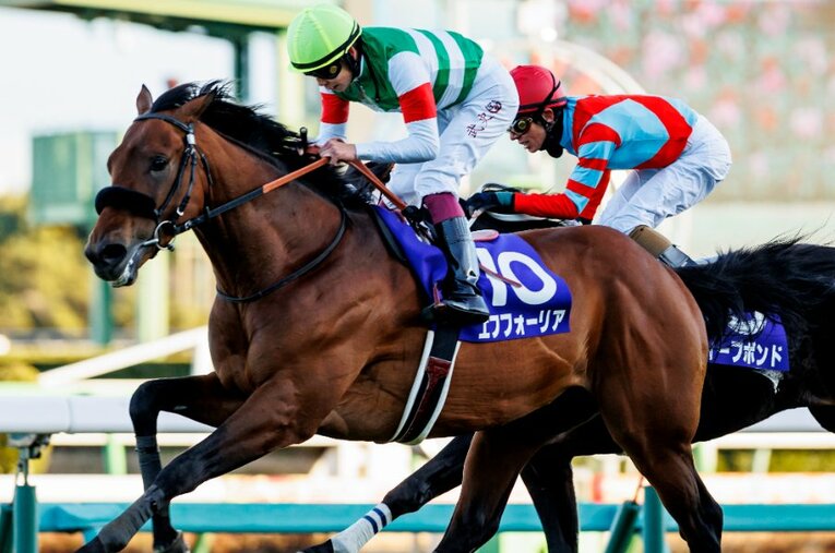 今年の有馬記念を3歳にして制したエフフォーリアと横山武史 ／ photograph by Kiichi Matsumoto