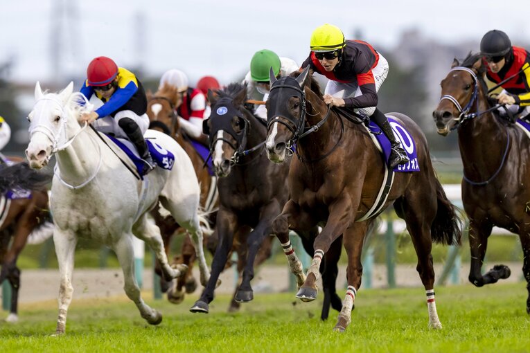 直線で突き抜けるセリフォス