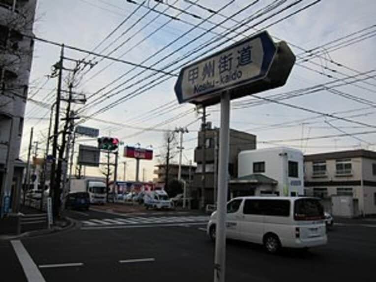 お花見シーズン直前ボタリング。ブームの「墓マイラー」をやってみた。(11)