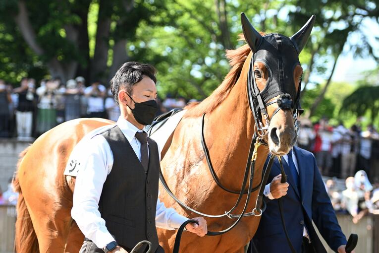 武豊「ディープインパクトはダートでも強かったと思う」ディープにダイワスカーレット、2頭の名馬が“走らなかった”幻のフェブラリーS計画(63)