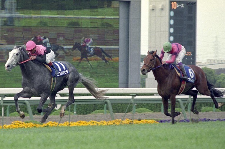 今年の天皇賞・春はビワハヤヒデ（左）が制した27年前以来となる阪神開催だ ／ photograph by Kyodo News