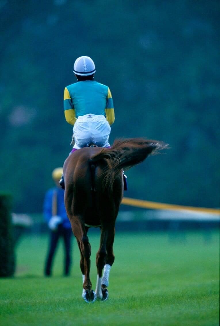 98年の天皇賞・秋レース直前のサイレンススズカと武豊　©Tomohiko Hayashi