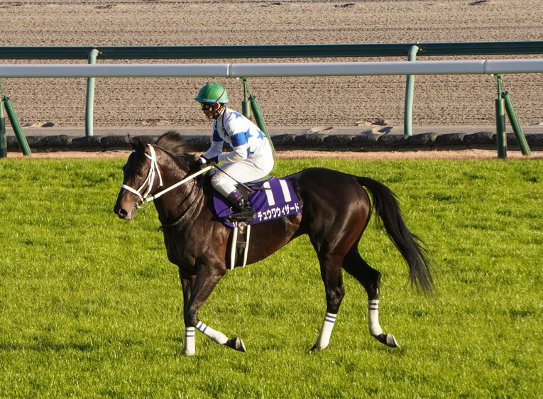 (C)Satoshi Hiramatsu