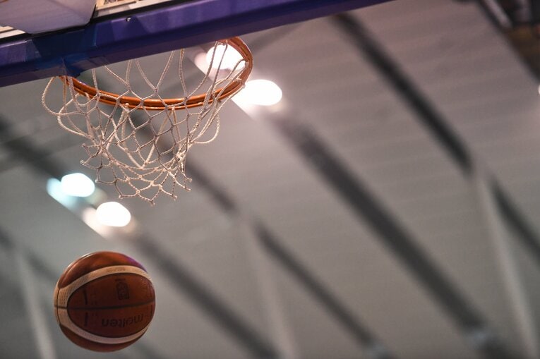 ©SeaHorses MIKAWA co.,LTD.