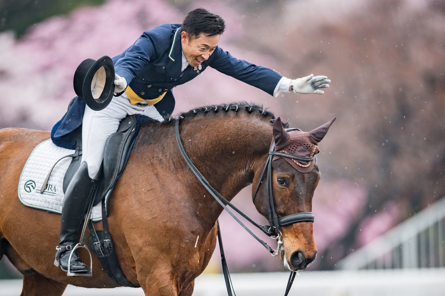 馬事公苑の桜の木を背景に、愛馬をねぎらう北原