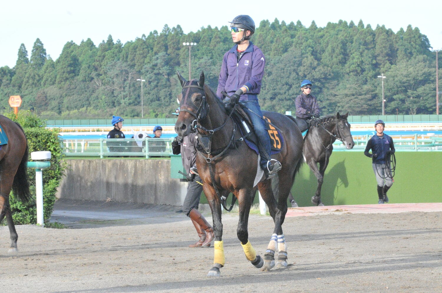 週末にはセントライト記念への出走が予定されるオーソクレース　©Satoshi Hiramatsu