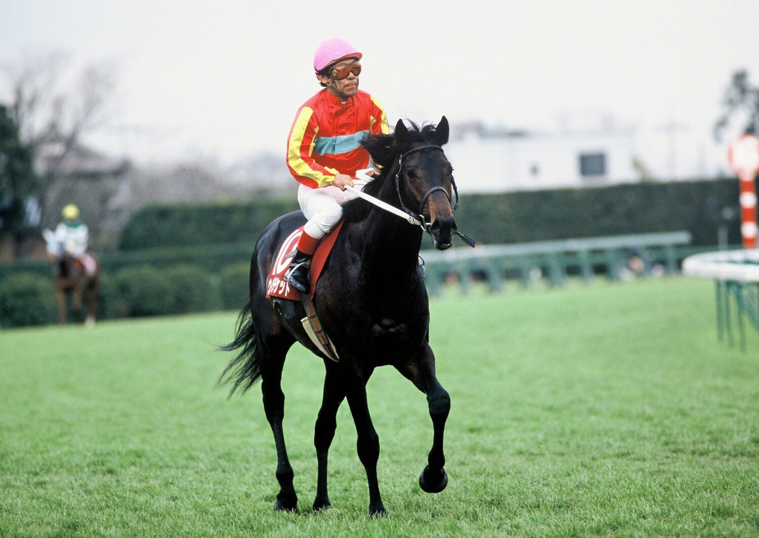 弥生賞制覇時のウイニングチケット　©BUNGEISHUNJU