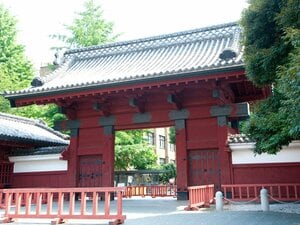 “日本最難関”東大の水泳部で「ある異変」…まさかの“日本インカレ9人出場＆準優勝スイマーも出現”の衝撃「選手が続々覚醒」で過去最強になったナゼ