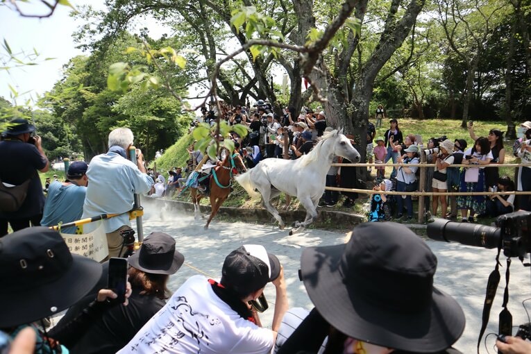 「野馬懸」に登場した芦毛馬ウォースパイト