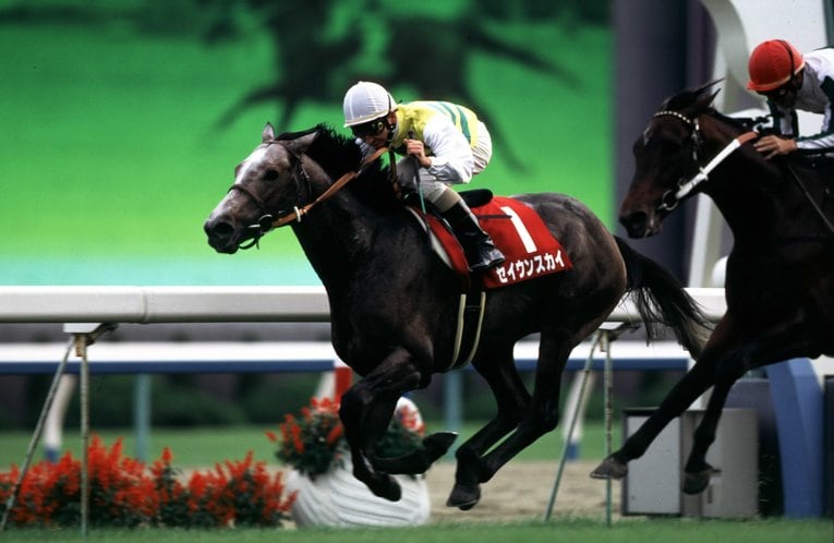 1998年の京都大賞典を制したセイウンスカイ