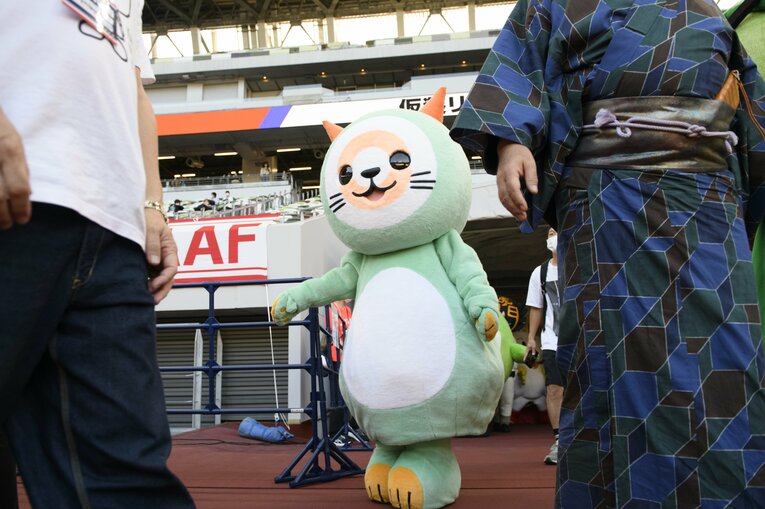 自信満々の笑顔で入場するフキャット　©Hirofumi Kamaya