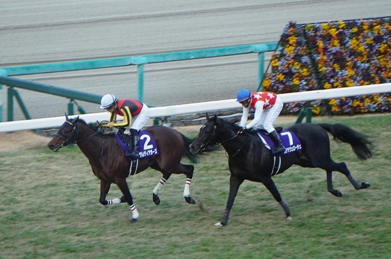 7番人気の朝日杯FSを制したグレナディアガーズと中内田師には、ある縁があった ／ photograph by Satoshi Hiramatsu