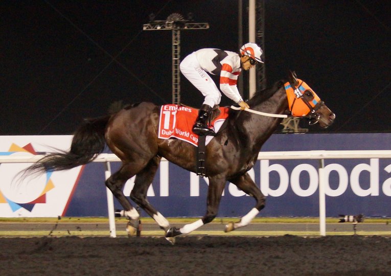 2014年のドバイワールドカップを走ったホッコータルマエ。レース後にはストレス性腸炎に見舞われるアクシデントも