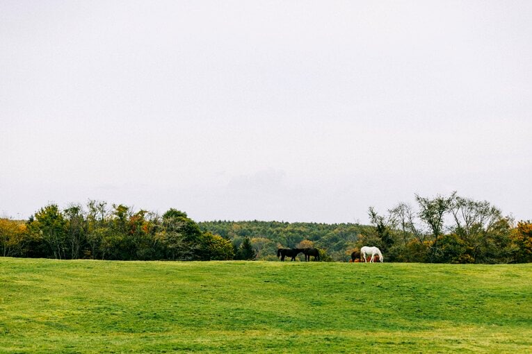 カフェから見える景色　©Kiichi Matsumoto