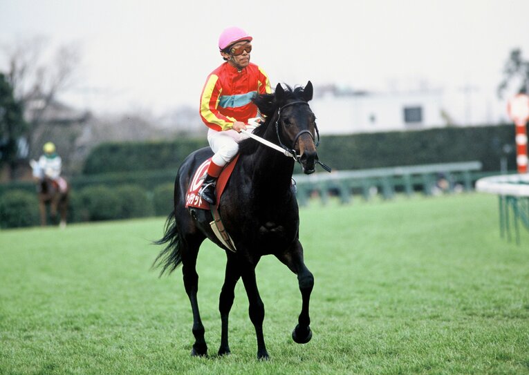 弥生賞制覇時のウイニングチケット　©BUNGEISHUNJU