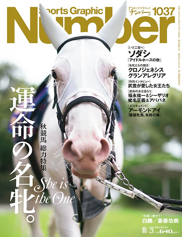 Number競馬