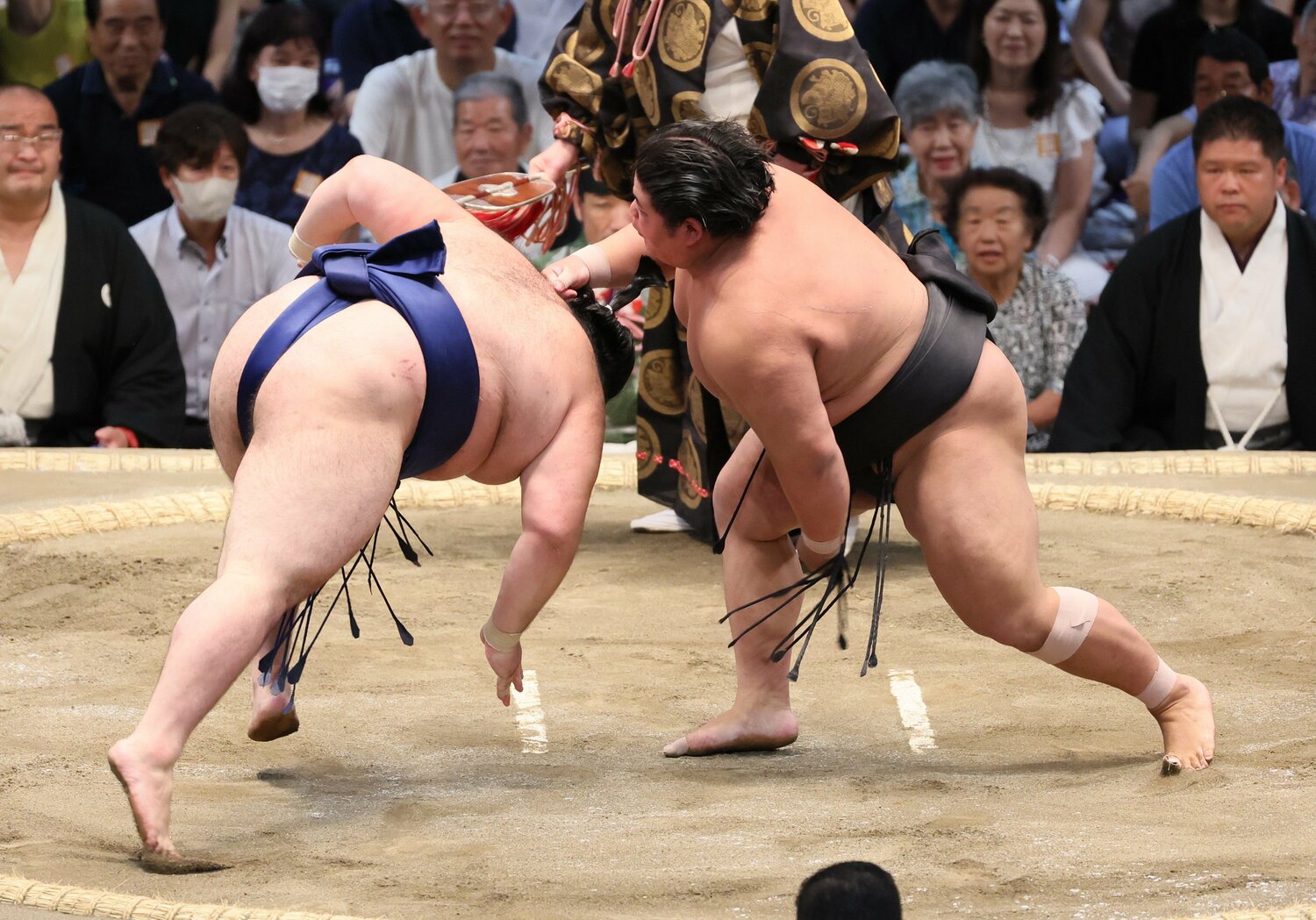名古屋場所6日目、過去3戦全敗だった豪ノ山をはたき込みで破った伯桜鵬　©JIJI PRESS